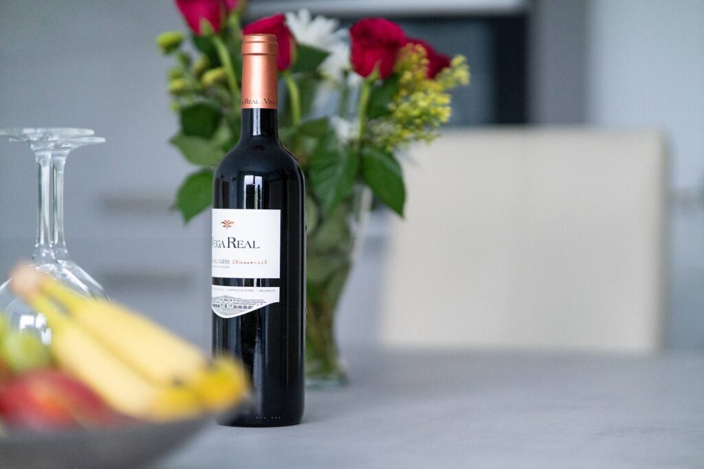 apartments-blauer-stein-echo-wh1-2